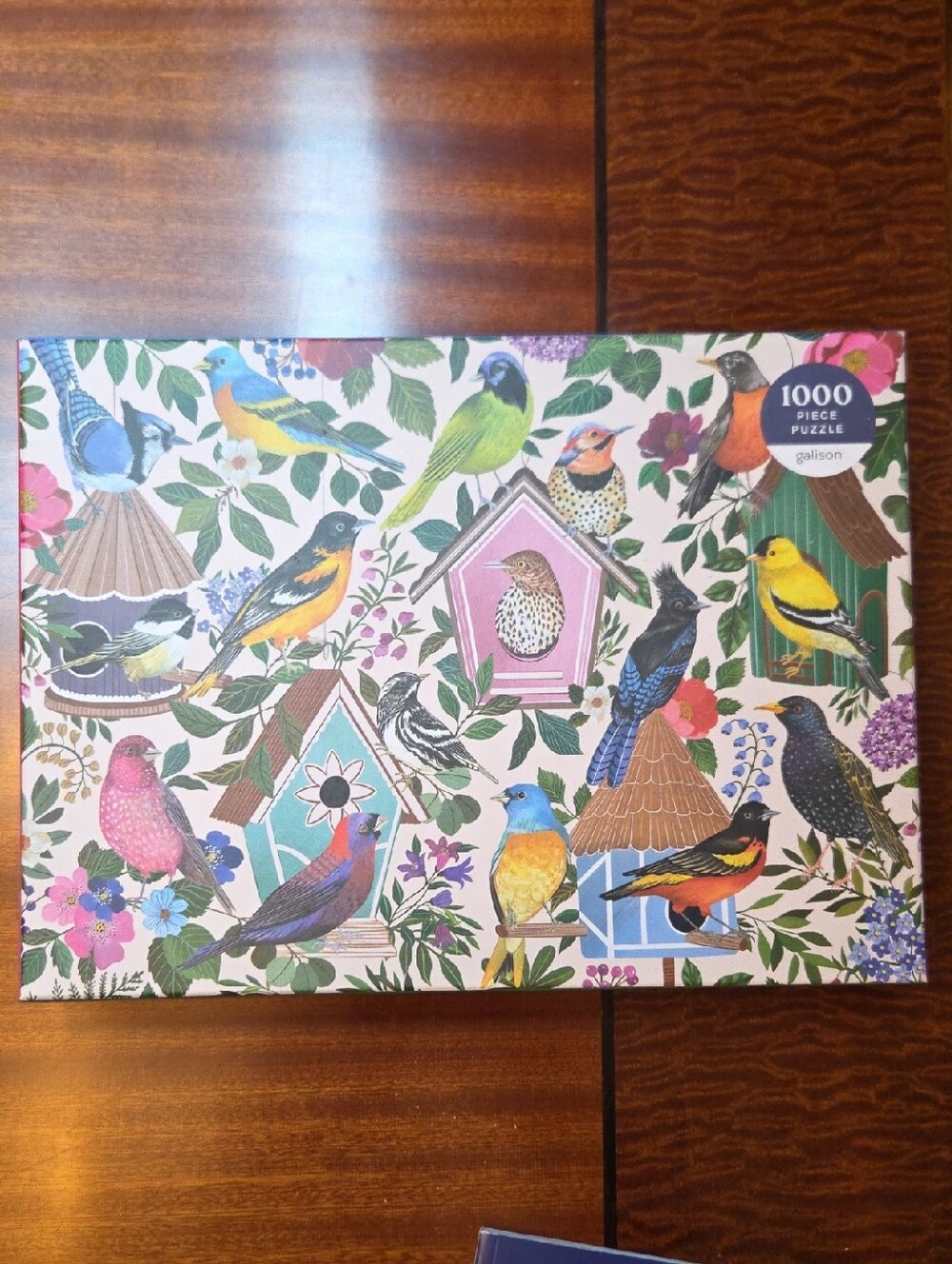 Galison 1000 Piece Jigsaw Puzzle-Birdhouse Lane